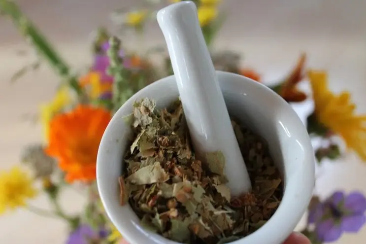 Naturoterapia